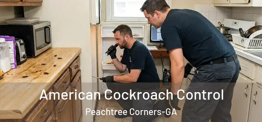  American Cockroach Control Peachtree Corners-GA