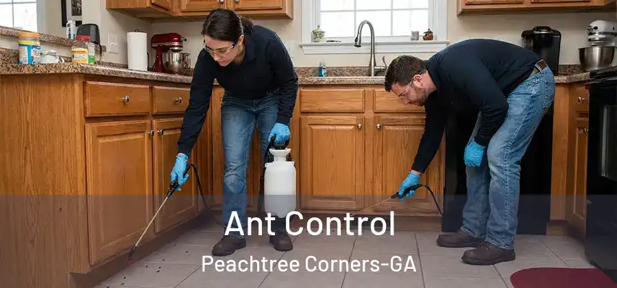  Ant Control Peachtree Corners-GA