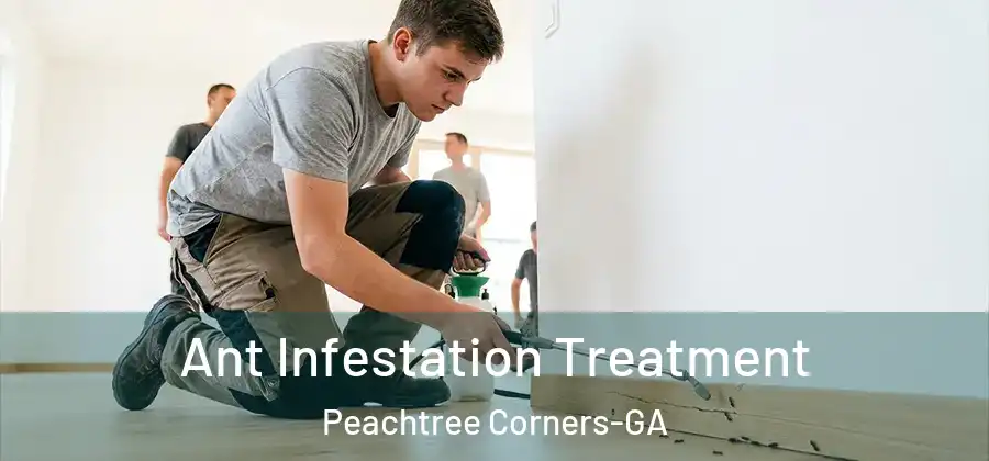 Ant Infestation Treatment Peachtree Corners-GA