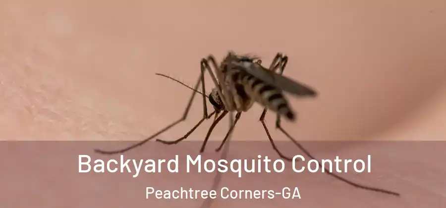 Backyard Mosquito Control Peachtree Corners-GA