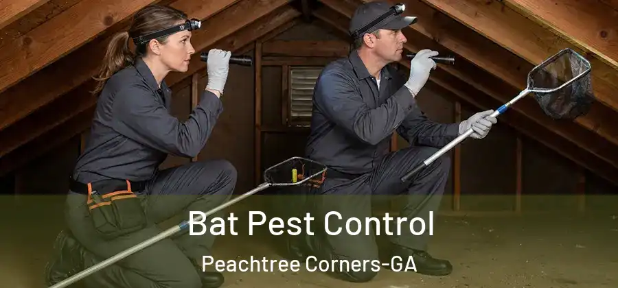  Bat Pest Control Peachtree Corners-GA