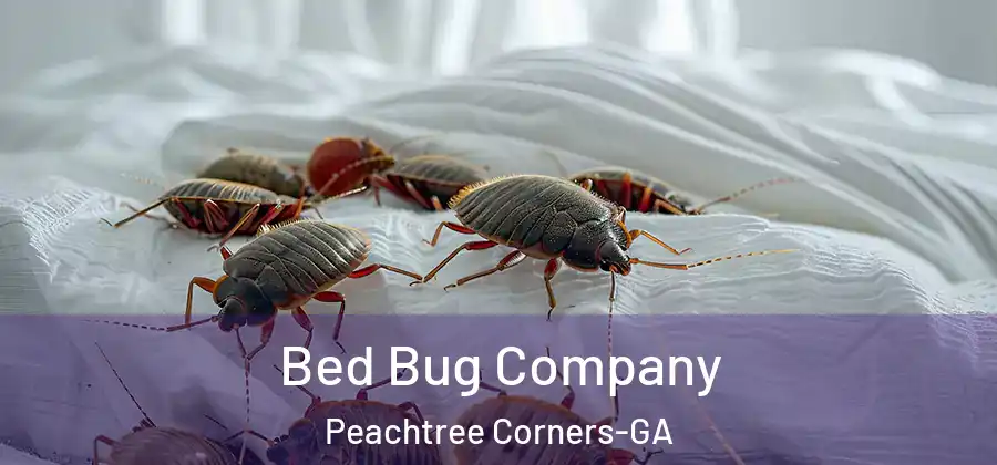  Bed Bug Company Peachtree Corners-GA