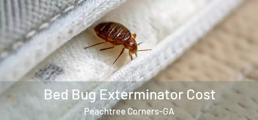 Bed Bug Exterminator Cost Peachtree Corners-GA