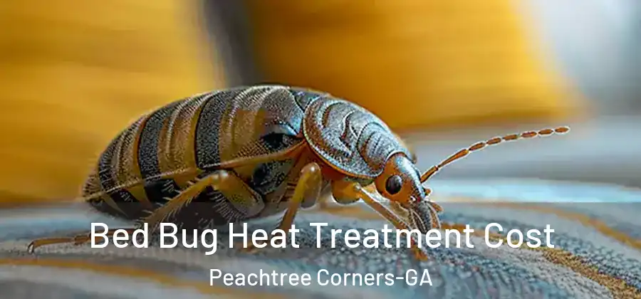 Bed Bug Heat Treatment Cost Peachtree Corners-GA