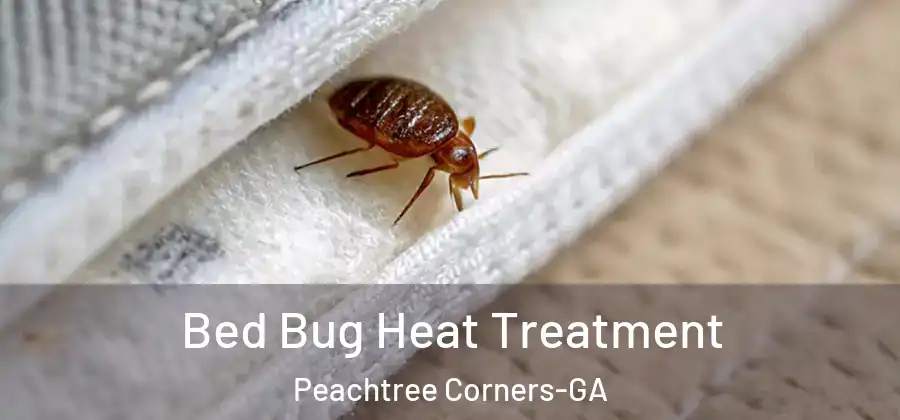  Bed Bug Heat Treatment Peachtree Corners-GA