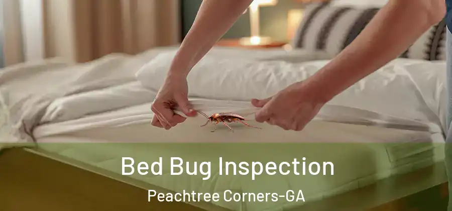 Bed Bug Inspection Peachtree Corners-GA