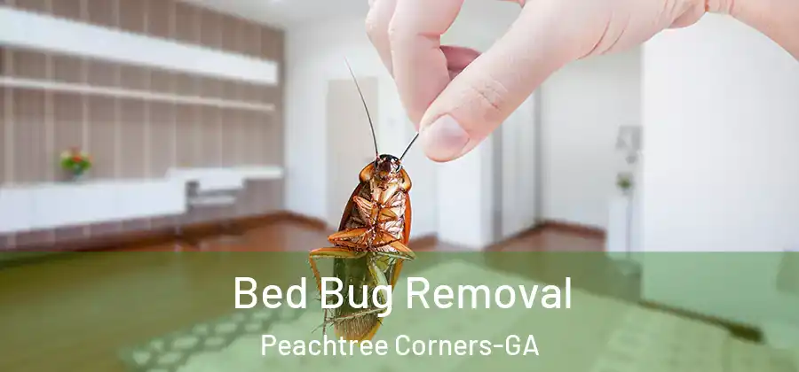  Bed Bug Removal Peachtree Corners-GA