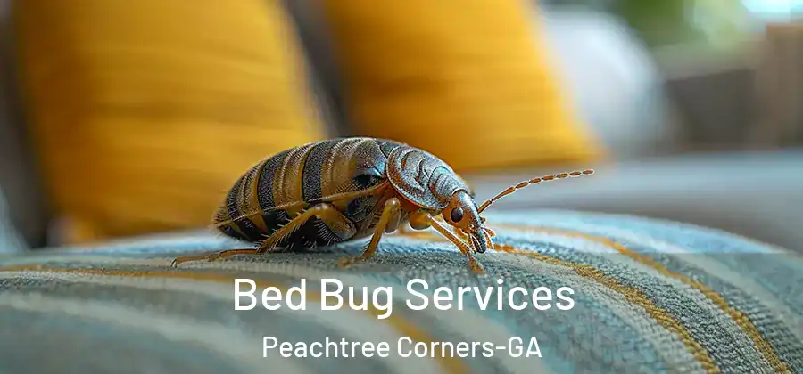 Bed Bug Services Peachtree Corners-GA