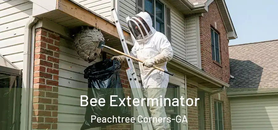 Bee Exterminator Peachtree Corners-GA