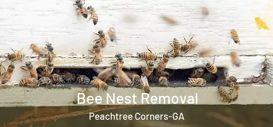 Bee Nest Removal Peachtree Corners-GA