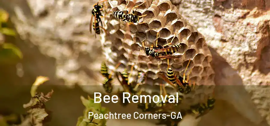  Bee Removal Peachtree Corners-GA