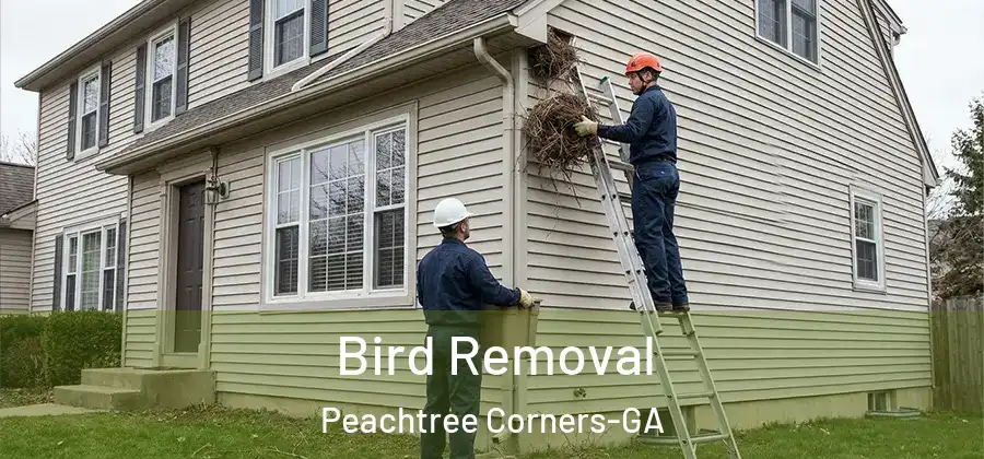  Bird Removal Peachtree Corners-GA