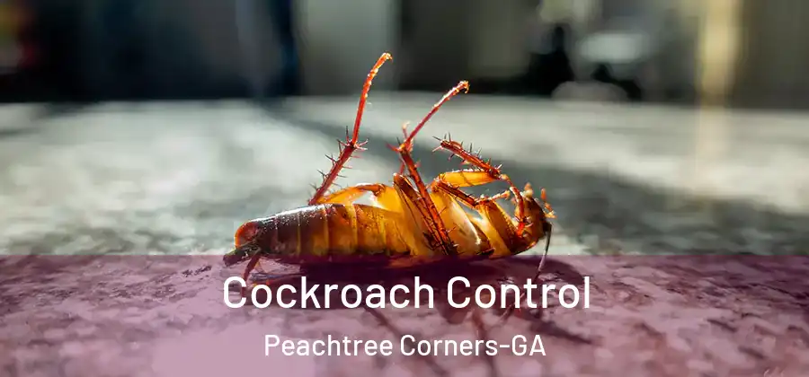  Cockroach Control Peachtree Corners-GA