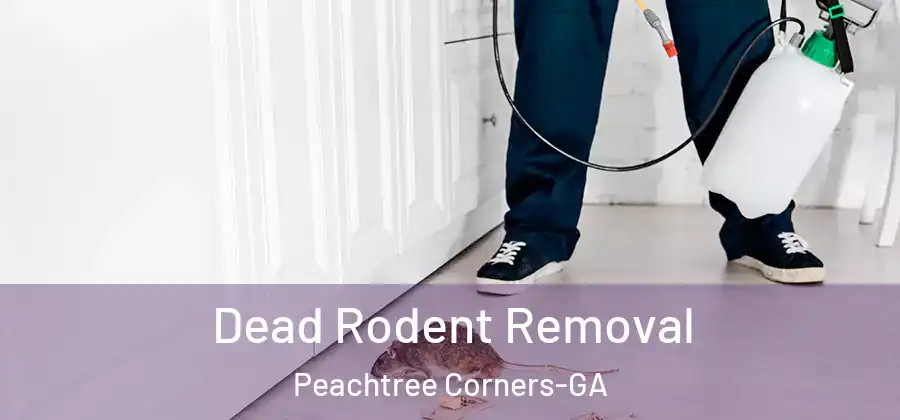 Dead Rodent Removal Peachtree Corners-GA