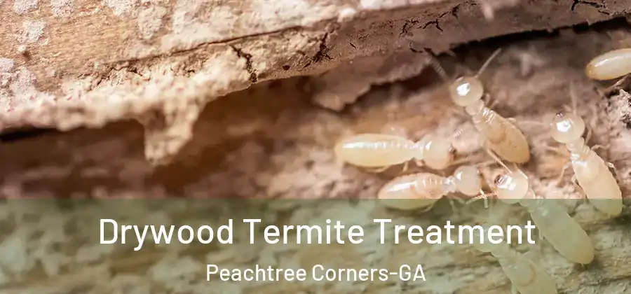 Drywood Termite Treatment Peachtree Corners-GA