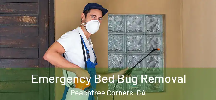  Emergency Bed Bug Removal Peachtree Corners-GA