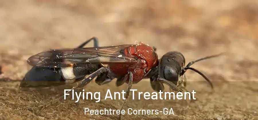 Flying Ant Treatment Peachtree Corners-GA