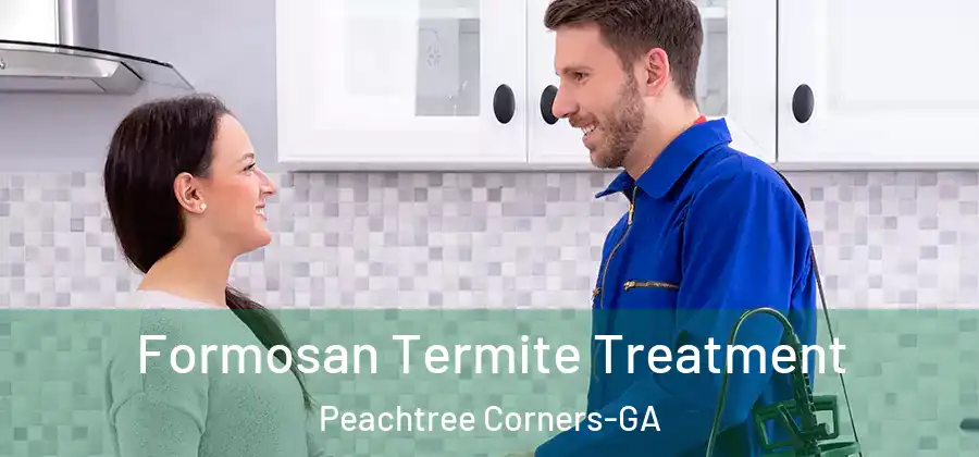  Formosan Termite Treatment Peachtree Corners-GA