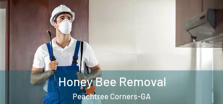 Honey Bee Removal Peachtree Corners-GA