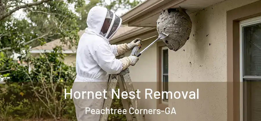 Hornet Nest Removal Peachtree Corners-GA