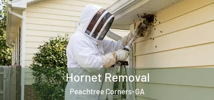  Hornet Removal Peachtree Corners-GA