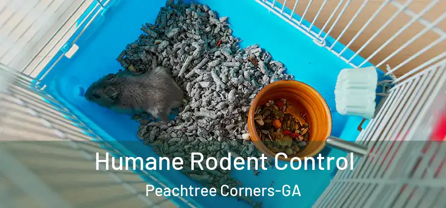  Humane Rodent Control Peachtree Corners-GA