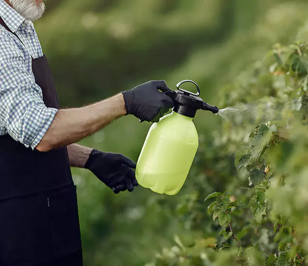 Your Proven Mosquito Treatment Company in Peachtree Corners, GA