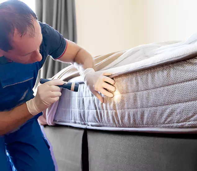 Trusted Bed Bug Cost Experts in Peachtree Corners, GA