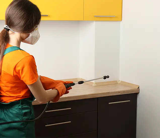 Trusted Bed Bug Pest Control Specialist in Peachtree Corners, GA