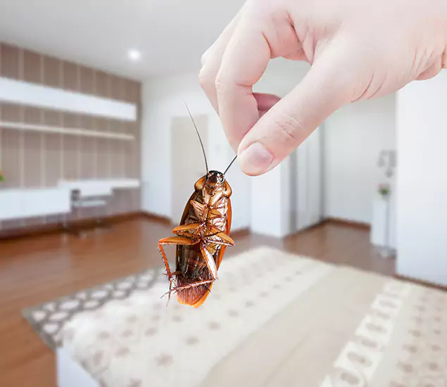Your Cockroach Control Services in Peachtree Corners, GA