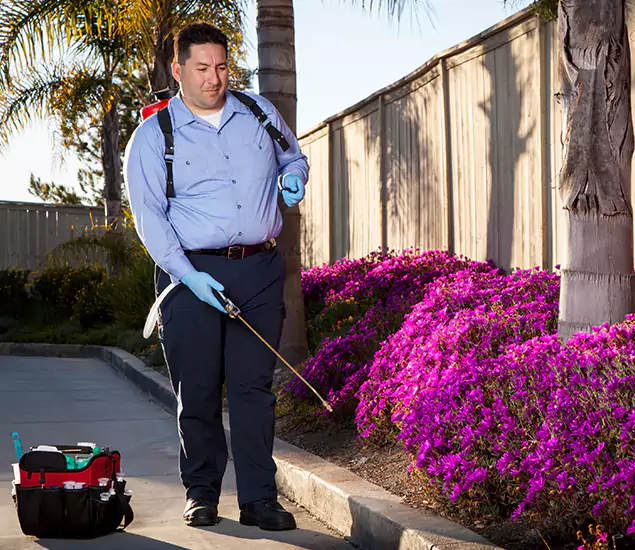 About Our Eco Safe Pest Control Experts in Peachtree Corners, GA