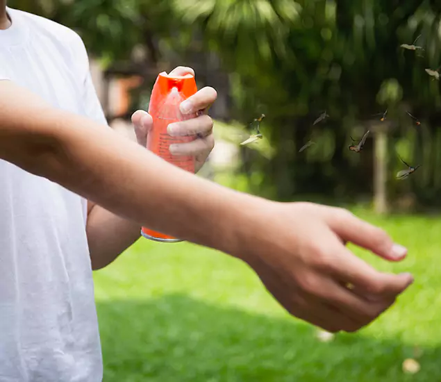 Your Best Indoor Bug Killer Team in Peachtree Corners, GA