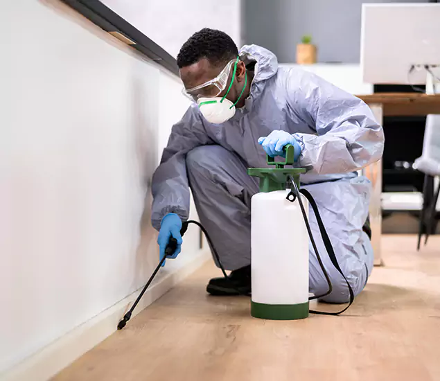 Leading Industrial Pest Control Experts Serving Peachtree Corners, GA