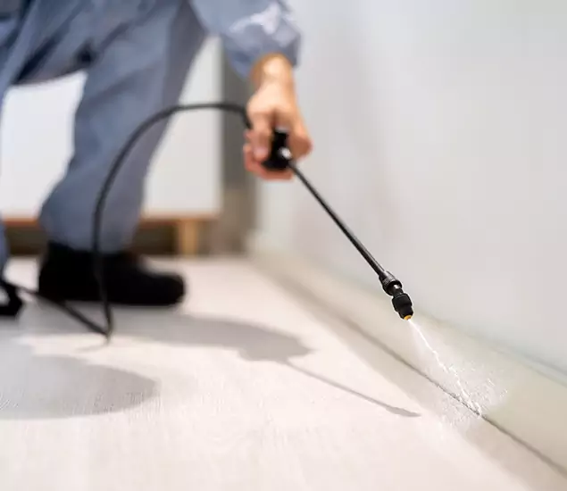 About Our Liquid Termite Treatment Experts in Peachtree Corners, GA