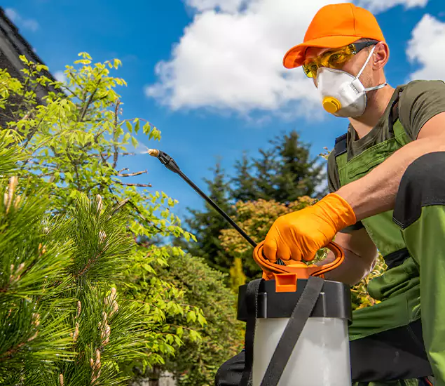Your Mosquito Repellent Barrier Service in Peachtree Corners, GA