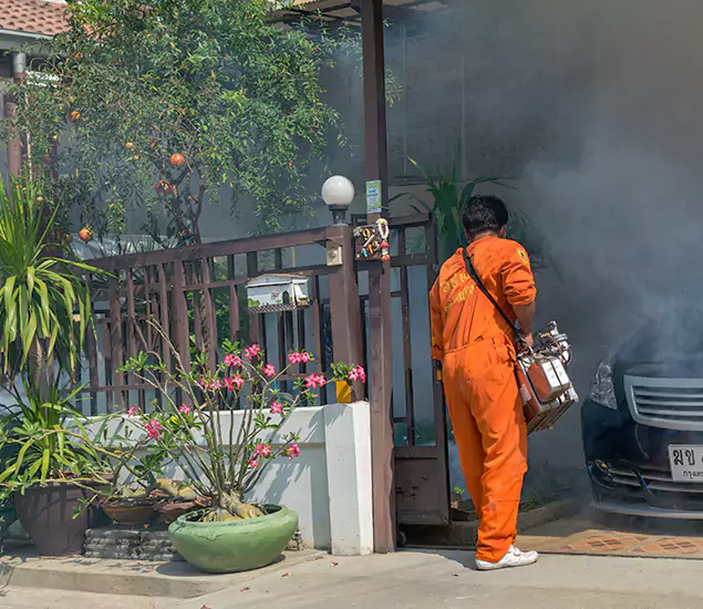 Your Proven Mosquito Fogging Company in Peachtree Corners, GA