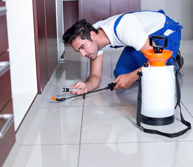 Reliable Professional Mouse Removal: Your Best Mouse Control Company in Peachtree Corners, GA