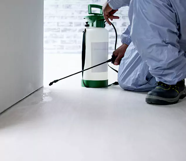Affordable Pest Control Experts in Peachtree Corners, GA