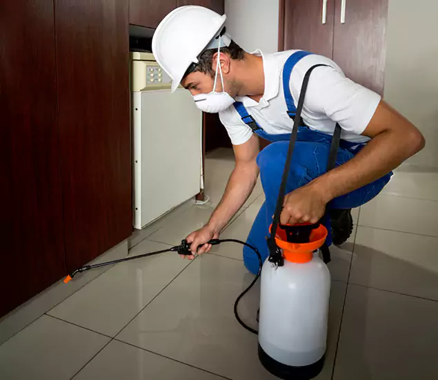 Advanced Termite Pre Treatment Experts in Peachtree Corners, GA