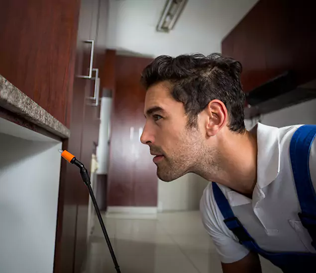 Expert Rodent in Attic Removal: Your Proven Pest Specialists in Peachtree Corners, GA