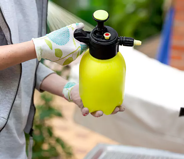 Skilled Residential Small Black Ant Service in Peachtree Corners, GA