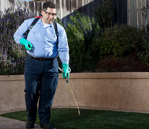 Reliable Termite Barrier Treatment Experts in Peachtree Corners, GA