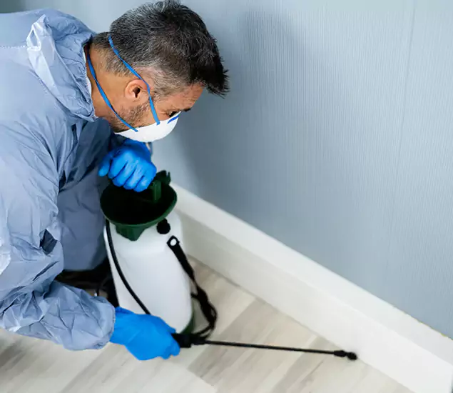 Reliable Termite Cost Experts in Peachtree Corners, GA