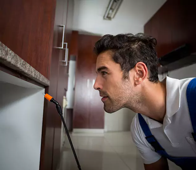 Termite Inspection Cost Experts You Can Trust in Peachtree Corners, GA