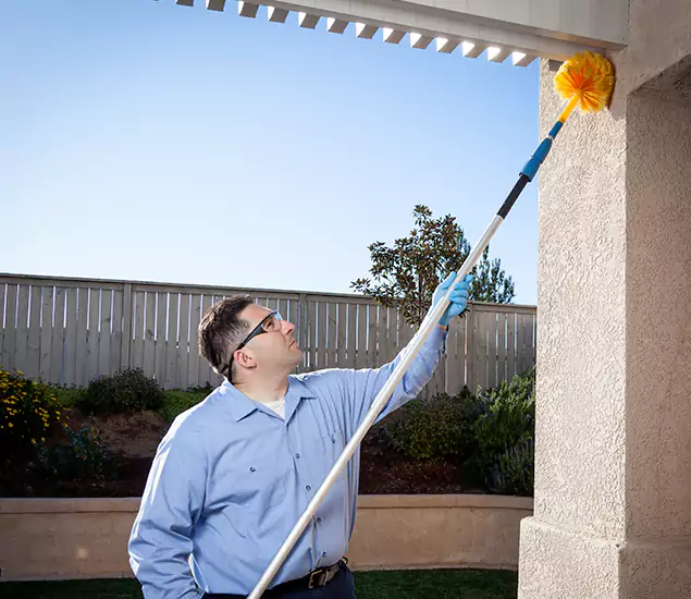 Your Trusted Wasp Removal Company in Peachtree Corners, GA