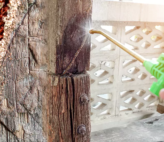 About Wood Termite Treatment Services in Peachtree Corners, GA