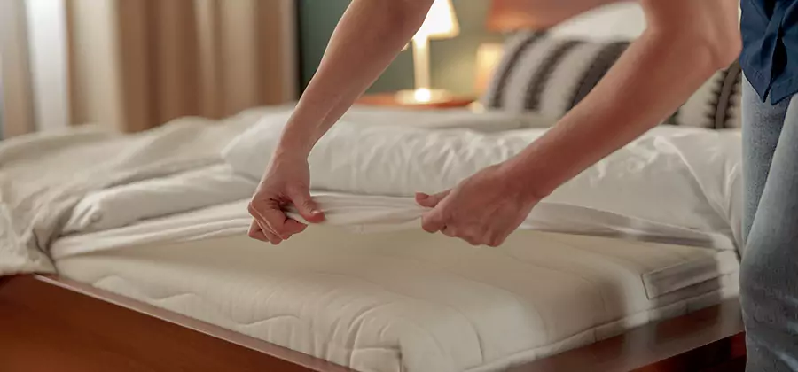 Bed Bug Extermination Services in Peachtree Corners