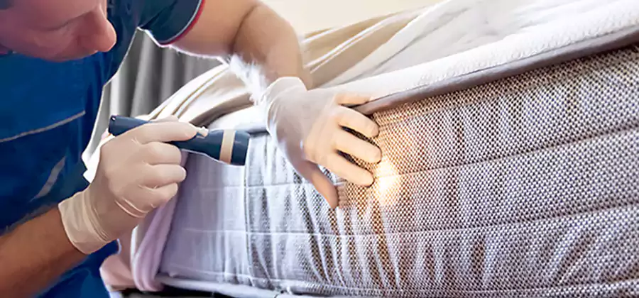 Residential Bed Bug Treatment Cost in Peachtree Corners