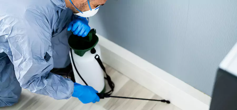 Fumigate Apartment Roaches in Peachtree Corners