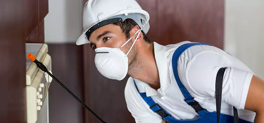 Injection Foam Treatment for Drywood Termites in Peachtree Corners